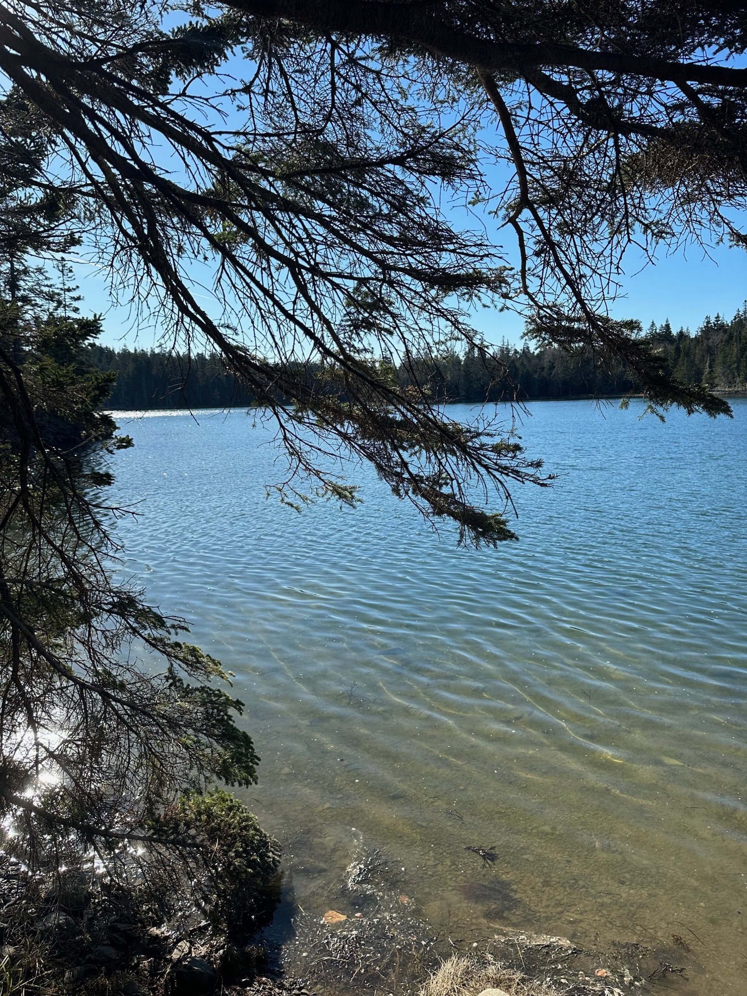 Landscape mathematical study